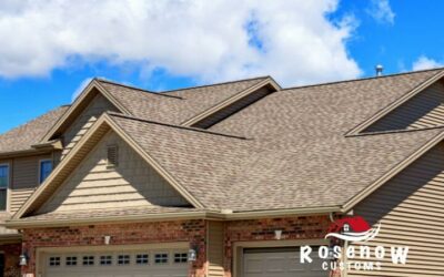 Choosing the Right Contractor for Shingle Roof Replacement