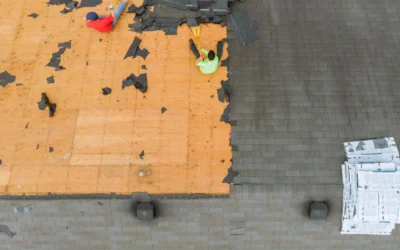 Shingle Roof Replacement Neenah: Essential Guide for Homeowners