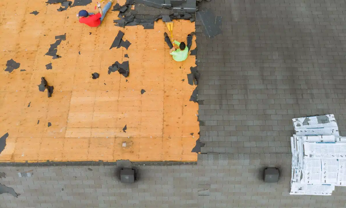 Shingle Roof Replacement 1